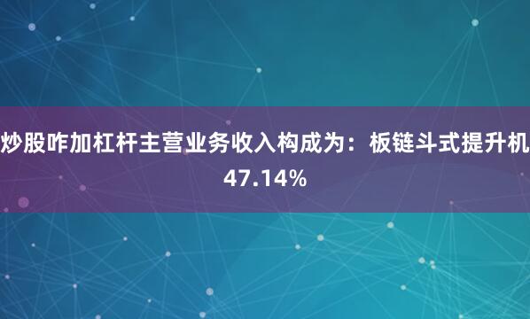 炒股咋加杠杆主营业务收入构成为：板链斗式提升机47.14%