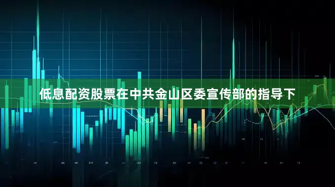 低息配资股票在中共金山区委宣传部的指导下
